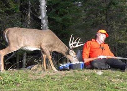 Jaeger schlaeft hirsch frisst