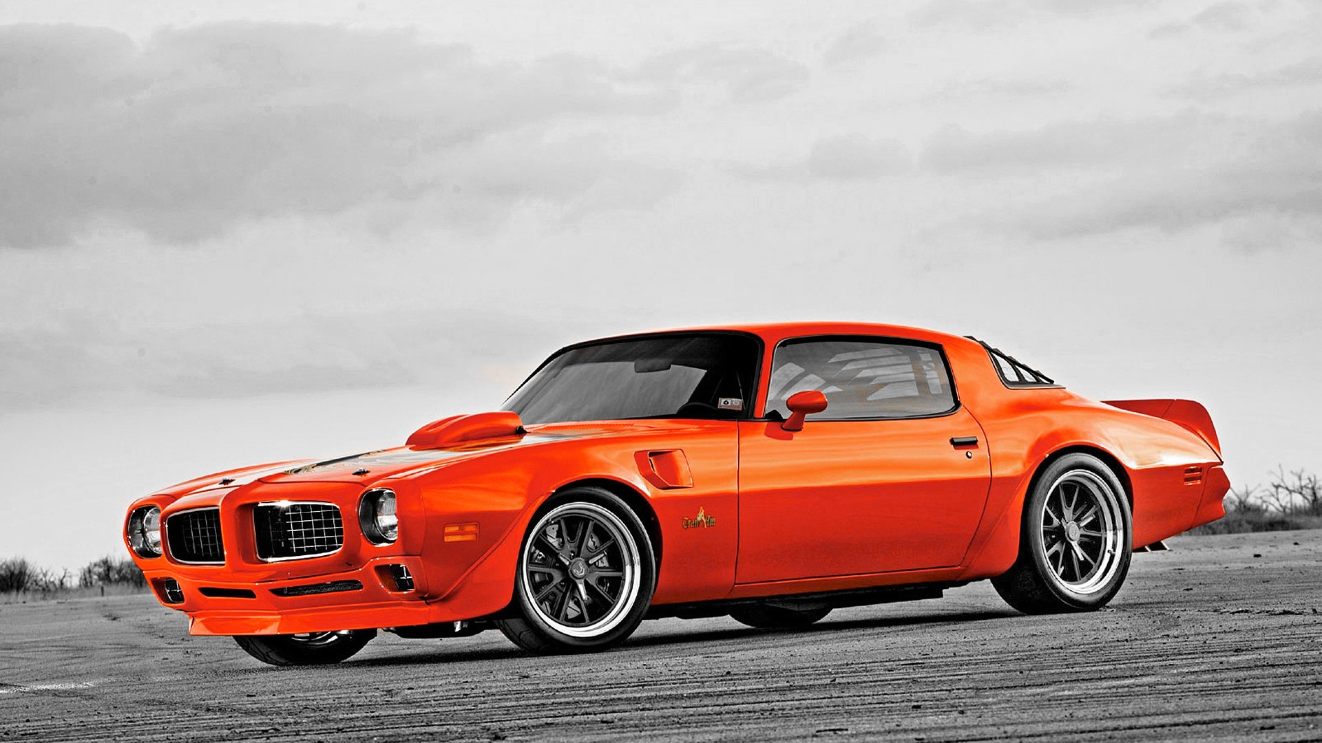 44981 muscle cars muscle car